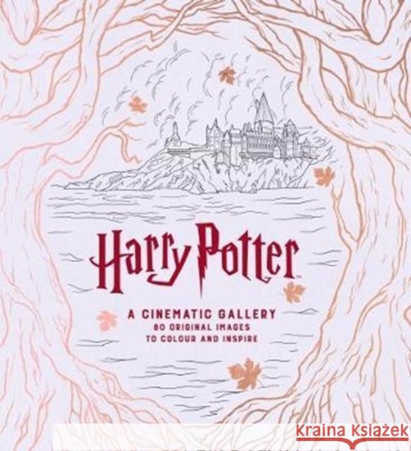 Harry Potter A Cinematic Gallery J. M. Dragunas 9781785657405 Titan Books Ltd - książka