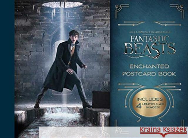 Harry Potter and the Goblet of Fire Postcard Book Titan Books 9781785657450 Titan Books Ltd - książka