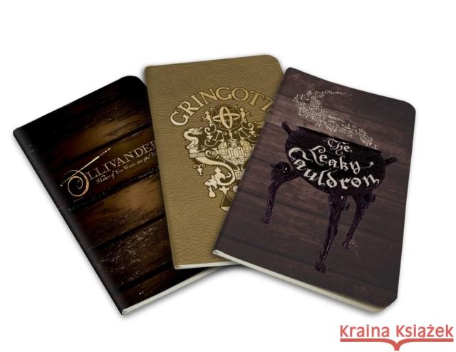 Harry Potter: Diagon Alley Pocket Journal Collection Insight Editions 9781683833567 Insight Editions - książka