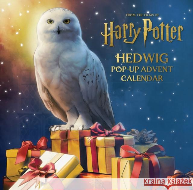 Harry Potter: Hedwig Pop-up Advent Calendar Matthew Reinhart 9781803363073 Titan Books Ltd - książka