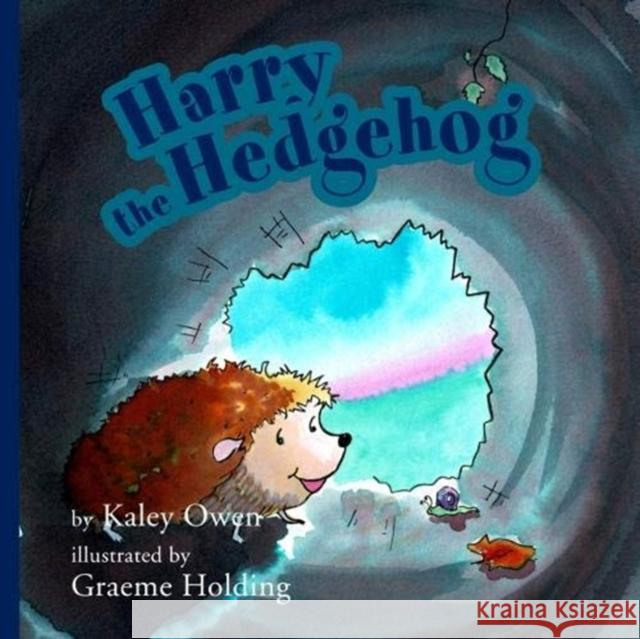 Harry the Hedgehog Kaley Owen 9781910265918 Matthew James Publishing Ltd - książka