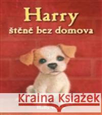 Harry, štěně bez domova Holly Webb 9788072114368 Nava - książka