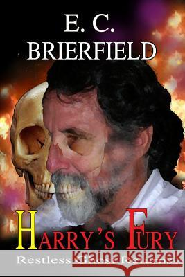 Harry's Fury E. C. Brierfield 9781461136453 Createspace - książka