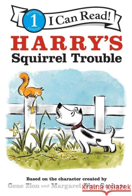 Harry's Squirrel Trouble Gene Zion Margaret Bloy Graham 9780062747754 HarperCollins - książka
