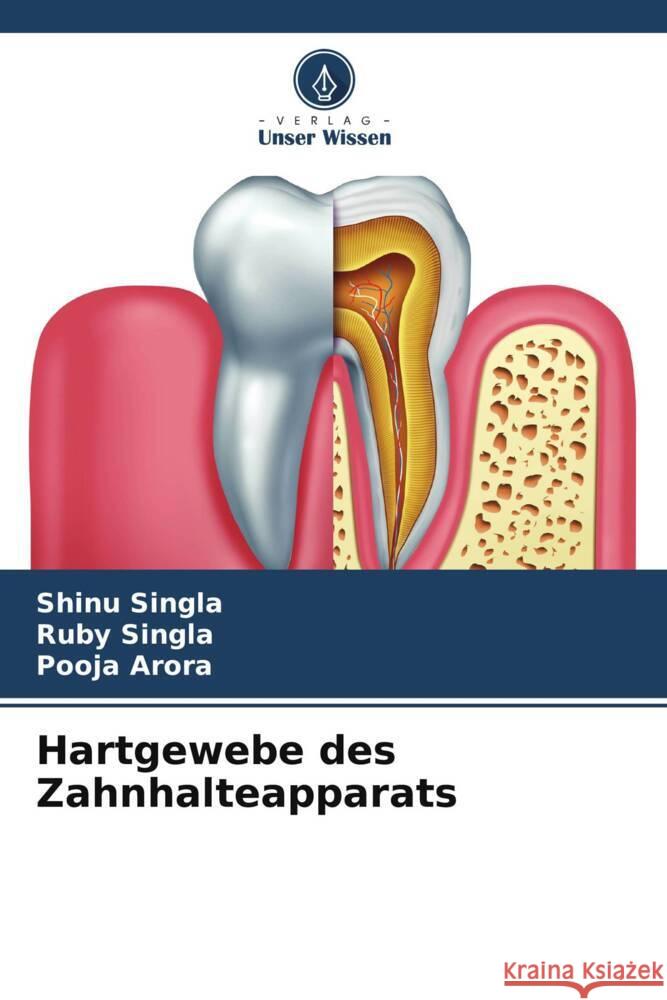 Hartgewebe des Zahnhalteapparats Shinu Singla Ruby Singla Pooja Arora 9786207054640 Verlag Unser Wissen - książka