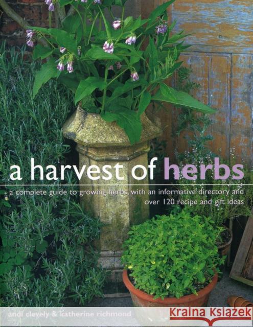 Harvest of Herbs Clevely Andi 9781780193472 SOUTHWATER - książka