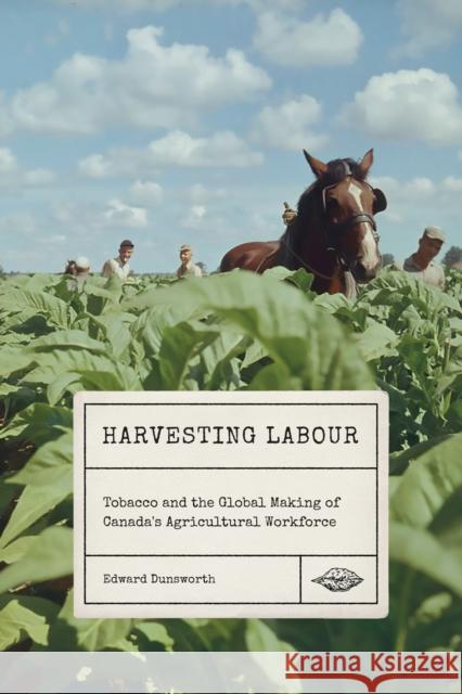 Harvesting Labour: Tobacco and the Global Making of Canada's Agricultural Workforce Edward Dunsworth 9780228011231 McGill-Queen's University Press - książka