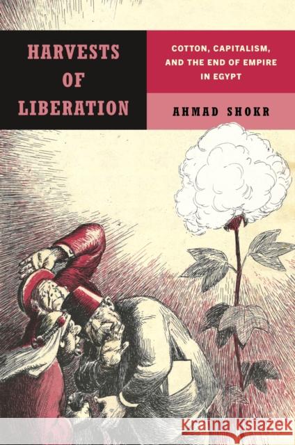 Harvests of Liberation: Cotton, Capitalism, and the End of Empire in Egypt Ahmad Shokr 9781503642799 Stanford University Press - książka