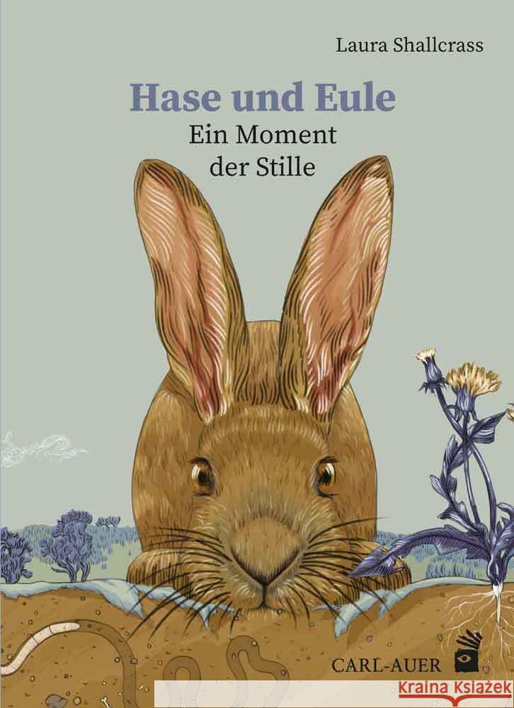 Hase und Eule Shallcrass, Laura 9783968430249 Carl-Auer - książka