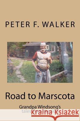 Hashmakers: Grandpa Windsong's tales from the 60's Walker, Peter F. 9781939374028 Ark Press - książka