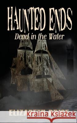 Haunted Ends: Dead in the Water Elizabeth Price 9781950502479 Liminal Books - książka