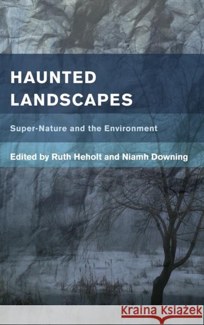 Haunted Landscapes: Super-Nature and the Environment Ruth Heholt Niamh Downing 9781783488810 Rowman & Littlefield International - książka