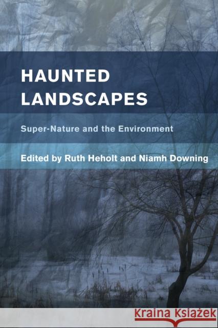 Haunted Landscapes: Super-Nature and the Environment Ruth Heholt Niamh Downing 9781783488827 Rowman & Littlefield International - książka
