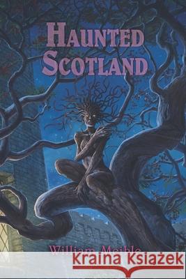 Haunted Scotland Joe Morey William Meikle 9781957121697 Weird House Press - książka