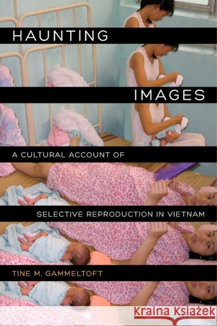 Haunting Images: A Cultural Account of Selective Reproduction in Vietnam Tine M. Gammeltoft 9780520278424 University of California Press - książka