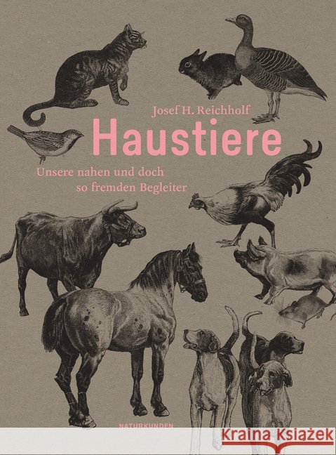 Haustiere : Unsere nahen und doch so fremden Begleiter Reichholf, Josef H. 9783957574626 Matthes & Seitz Berlin - książka