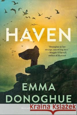 Haven Emma Donoghue 9780316414135 Back Bay Books - książka