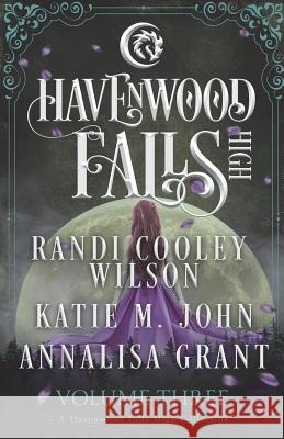 Havenwood Falls High Volume Three: A Havenwood Falls High Collection Randi Cooley Wilson Katie M. John Annalisa Grant 9781939859723 Ang'dora Productions, LLC - książka