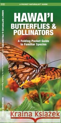 Hawai'i Butterflies and Pollinators: A Folding Pocket Guide to Familiar Species Waterford Press                          Raymond Leung 9781620055892 Waterford Press - książka