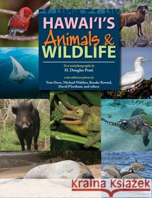 Hawaii's Animals and Wildlife H. Douglas Pratt 9781939487308 Mutual Publishing - książka