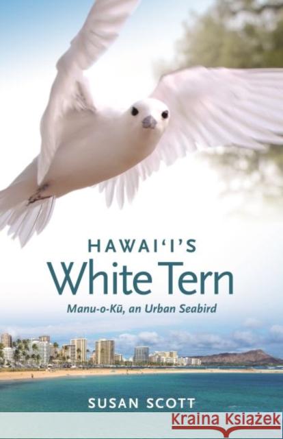 Hawai'i's White Tern: Manu-O-Kū, an Urban Seabird Scott, Susan 9780824878023 Latitude 2 - książka