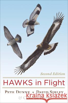 Hawks in Flight Pete Dunne Clay Sutton David Allen Sibley 9780395709597 Houghton Mifflin Harcourt (HMH) - książka