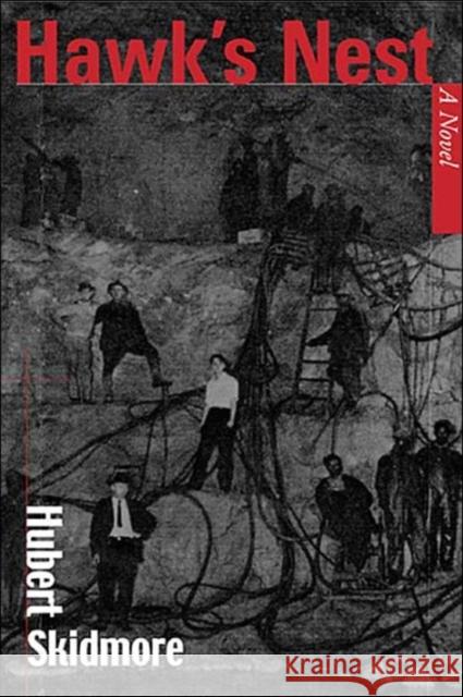 Hawk's Nest Skidmore, Hubert 9781572332805 University of Tennessee Press - książka