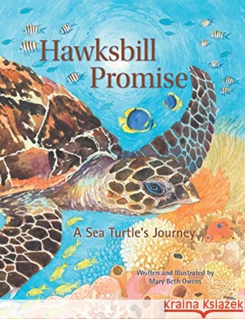 Hawksbill Promise: The Journey of an Endangered Sea Turtle Mary Beth Owens 9780884484301 Tilbury House Publishers - książka