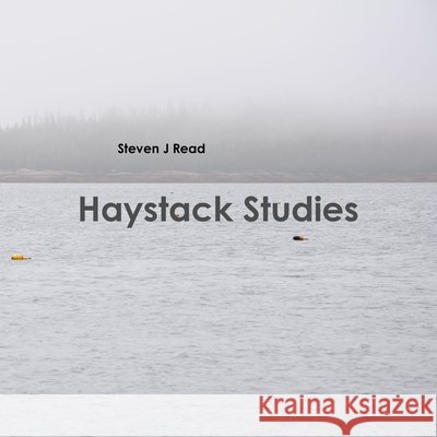 Haystack Studies Steven J. Read 9781300256533 Lulu.com - książka