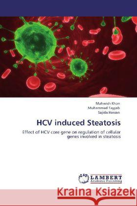 Hcv Induced Steatosis Mahwish Khan, Muhammad Tayyab, Sajida Hassan 9783846583333 LAP Lambert Academic Publishing - książka