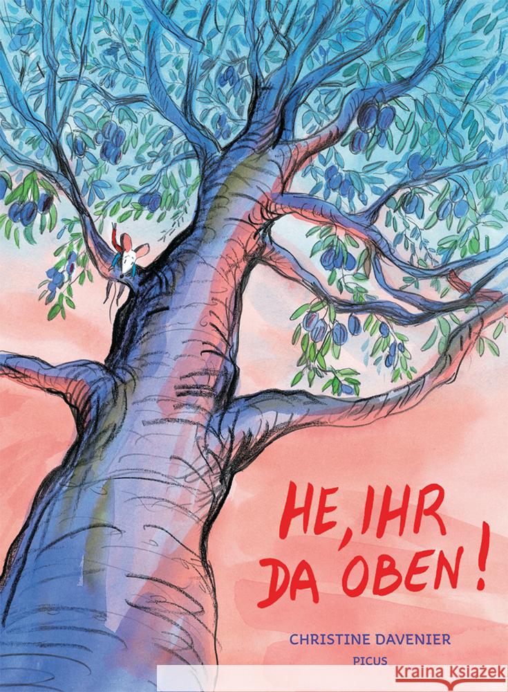 He, ihr da oben! Davenier, Christine 9783711740267 Picus Verlag - książka