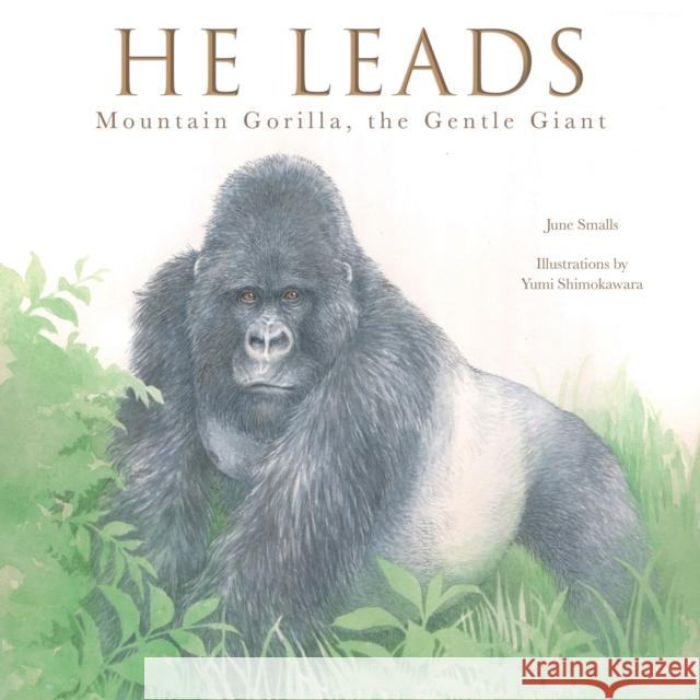 He Leads: Mountain Gorilla, the Gentle Giant June Smalls Yumi Shimokawara 9781641706483 Familius - książka