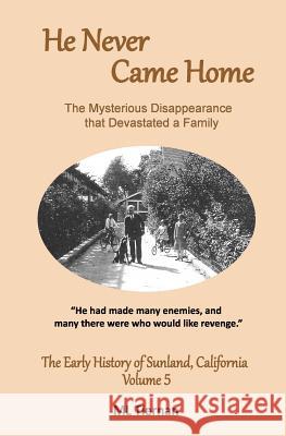 He Never Came Home ML Tiernan 9780983067245 Maryleetiernan.com - książka