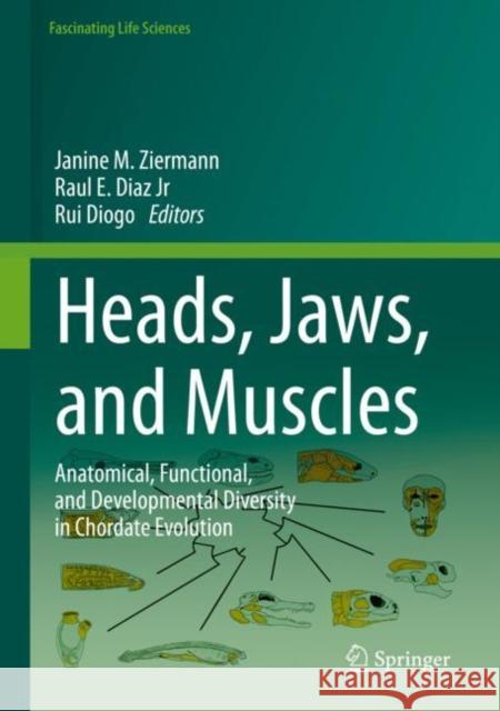 Heads, Jaws, and Muscles: Anatomical, Functional, and Developmental Diversity in Chordate Evolution Ziermann, Janine M. 9783319935591 Springer - książka