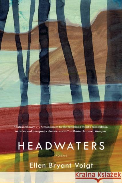 Headwaters Voigt, Ellen Bryant 9780393350005 W. W. Norton & Company - książka