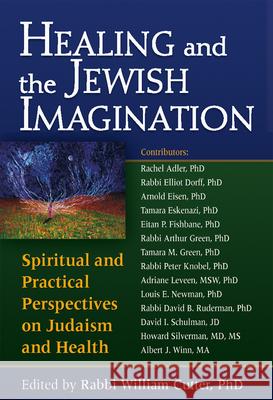 Healing and the Jewish Imagination: Spiritual and Practical Perspectives on Judaism and Health William Cutter 9781580233736 Jewish Lights Publishing - książka