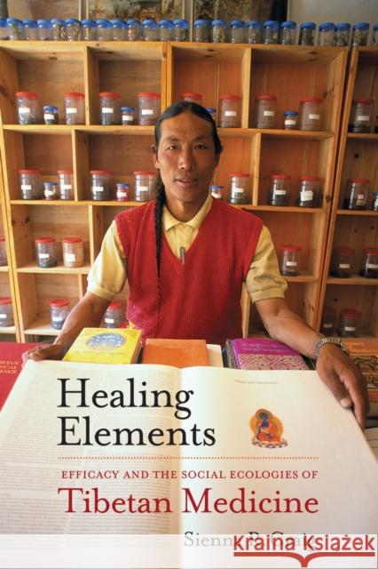 Healing Elements: Efficacy and the Social Ecologies of Tibetan Medicine Craig, Sienna R. 9780520273245 UNIVERSITY OF CALIFORNIA PRESS - książka