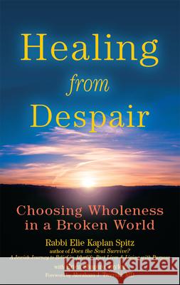 Healing from Despair: Choosing Wholeness in a Broken World Rabbi Elie Kaplan Spitz Erica Shapiro Taylor Abraham J., MD Twerski 9781580234368 Jewish Lights Publishing - książka