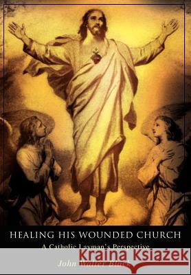 Healing His Wounded Church: A Catholic Layman's Perspective Black, John Walter 9780595666027 iUniverse - książka