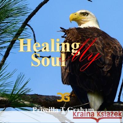 Healing My Soul Priscilla T. Graham 9781387404247 Lulu.com - książka
