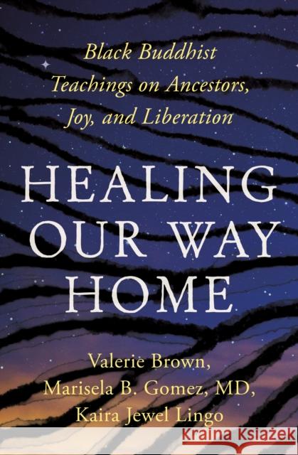 Healing Our Way Home Valerie Brown 9781952692642 Parallax Press - książka