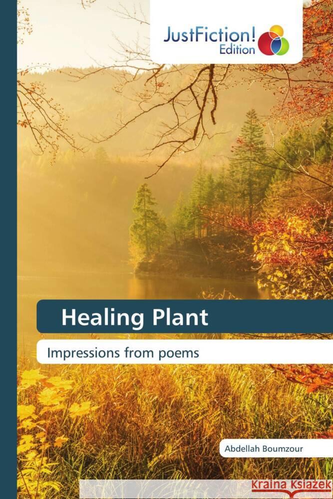 Healing Plant Boumzour, Abdellah 9786200103437 JustFiction Edition - książka