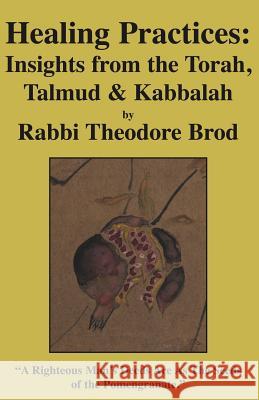 Healing Practices: Insights from the Torah, Talmud and Kabbalah Brod, Rabbi Theodore 9781413474756 Xlibris Corporation - książka