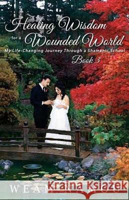Healing Wisdom for a Wounded World: My Life-Changing Journey Through a Shamanic School (Book 3) Weam Namou 9781945371974 Hermiz Publishing, Incorporated - książka