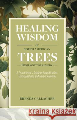 Healing Wisdom of North American Trees: A Practitioner’s Guide to Identification, Traditional Use & Herbal Alchemy Brenda Gallagher 9780888397980 Hancock House - książka