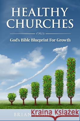 Healthy Churches: God's Bible Blueprint For Growth Brian Johnston (Carnegie Mellon University) 9781508726098 Createspace Independent Publishing Platform - książka