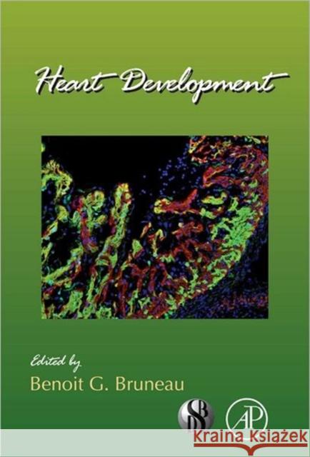 Heart Development: Volume 100 Bruneau G., Benoit 9780123877864  - książka