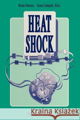 Heat Shock Bruno Maresca Susan Lindquist 9783642766817 Springer - książka