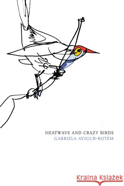 Heatwave and Crazy Birds Gabriela Avigur-Rotem Dalya Bilu 9781564786432 Dalkey Archive Press - książka