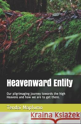 Heavenward Entity Tendai Mapfumo 9781799031079 Independently Published - książka